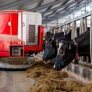 De Vector voerrobot  kan naar verwachting alle 275 melkkoeien inclusief het jongvee in een andere stal aan, qua capaciteit.  Want er wordt 24 uur per dag gevoerd. Het rantsoen bestaat uit gras, maïs, voeraardappelen, een soja/raapmengsel en mineralen.