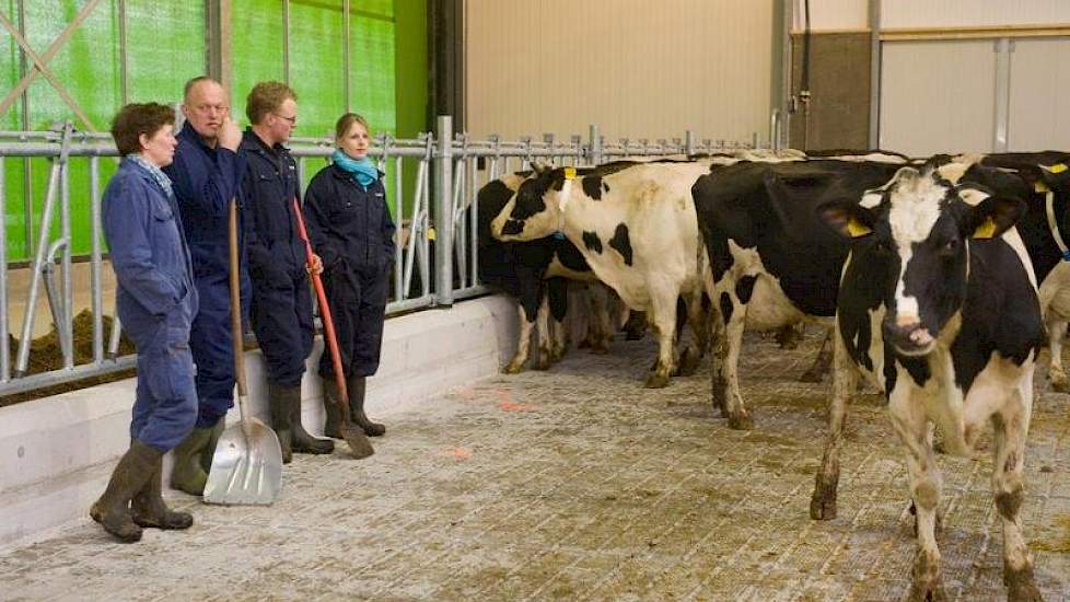 Bea, Jan Willem, Erjan en Leonie te Biesebeek (vlnr) kijken tevreden naar hun koeien in de nieuwe stal.