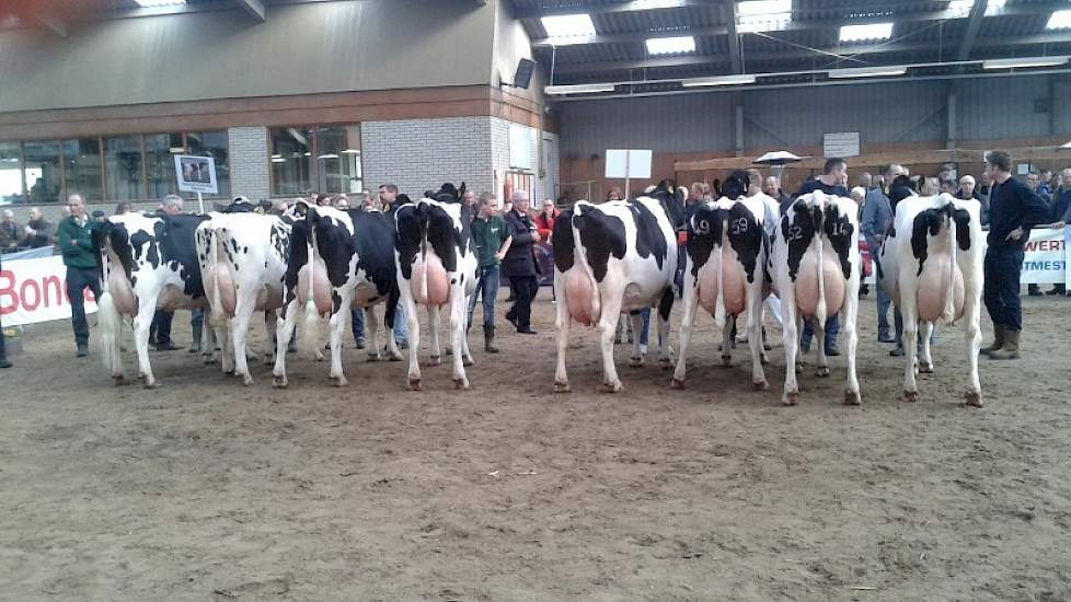 De productieklasse met koeien die meer dan 50.000 kg melk hebben geproduceerd.