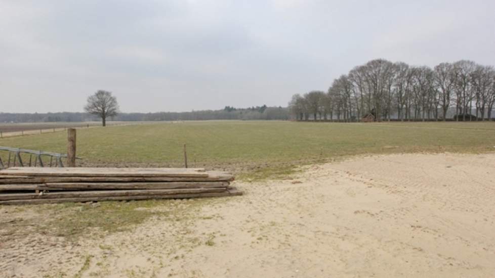 Ook met de nieuwe stal wil Hoenderken weidegang blijven toepassen. Het totale areaal bedraagt 140 hectare.