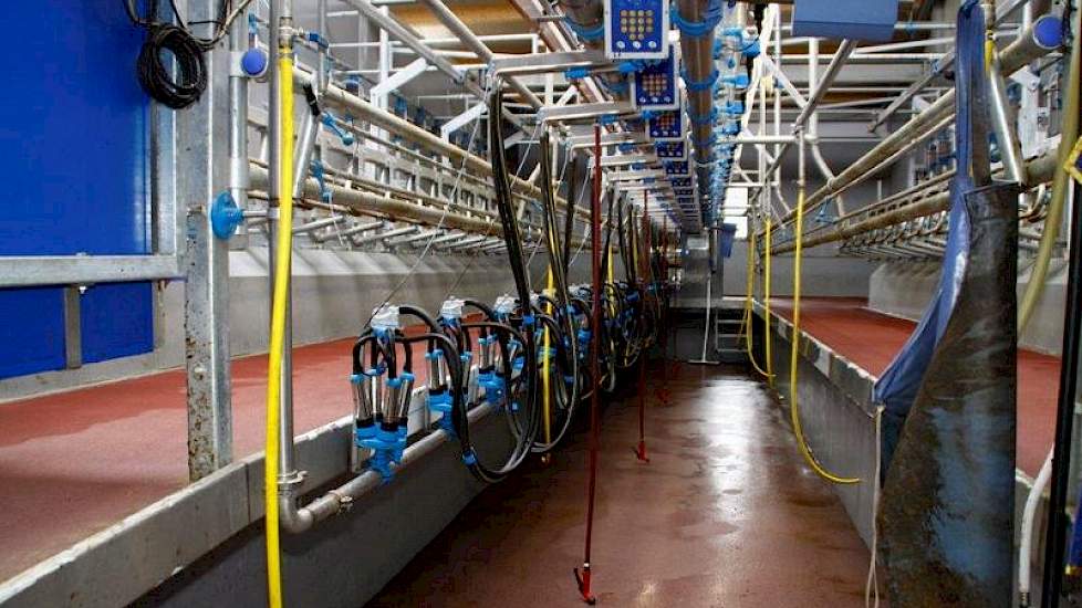 Er wordt gemolken in een swingover melkstal van het merk Dairymaster.