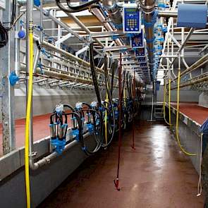 Er wordt gemolken in een swingover melkstal van het merk Dairymaster.