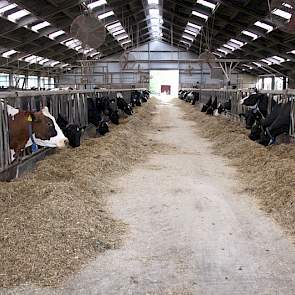 De oude stal werd in 1995 gebouwd, toen familie Knoops van N-Brabant naar Zeeland verhuisde.