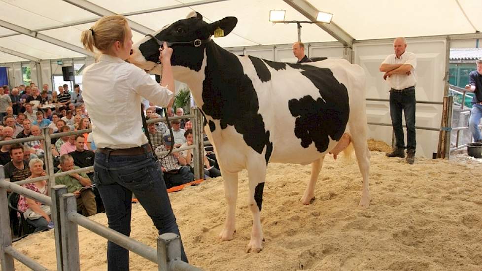 Tweedekalfs koe Marie 353 (AV89, V: Goldwyn, MV:CB Allen) bracht 5000 Euro op.M.Markus uit Papekop (Z.H.) kocht de koe samen met volle zuster nr 1 veilingtopper  Marie 357  waar hij 7400 euro voor betaalde.