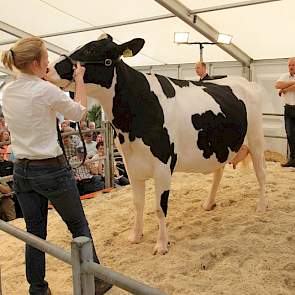 Tweedekalfs koe Marie 353 (AV89, V: Goldwyn, MV:CB Allen) bracht 5000 Euro op.M.Markus uit Papekop (Z.H.) kocht de koe samen met volle zuster nr 1 veilingtopper  Marie 357  waar hij 7400 euro voor betaalde.