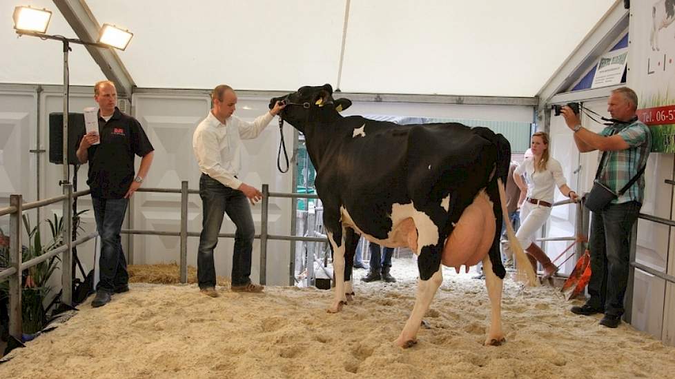 De met 86 punten ingeschreven derdekalfs Shottle dochter Marie 349 werd door Wierd de Groot in Oudega (Fr.) voor 4400 Euro gekocht.