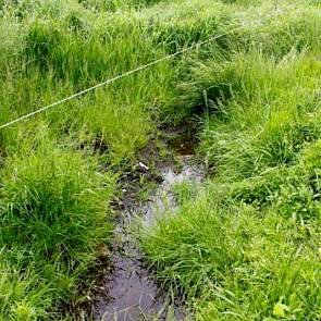 In totaal zijn er vorig jaar 392 controles uitgevoerd in onder meer de gemeenten Niedorp, Schermer, Waterland, Zeevang en Zijpe. Bij 59 bedrijven werden overtredingen geconstateerd, vooral lozingen vanaf het erf van met mest of voer vervuild regenwater in