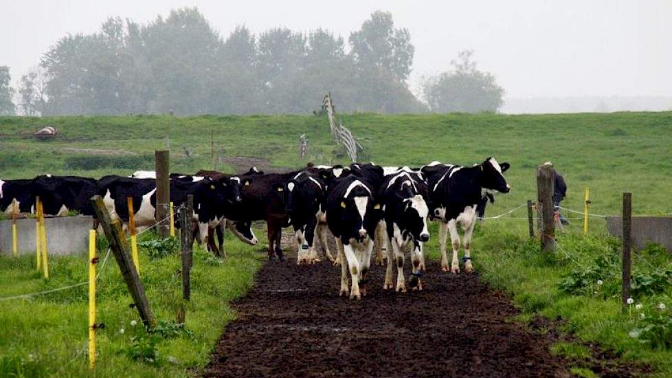 Hoe staat het met het kavelpad?