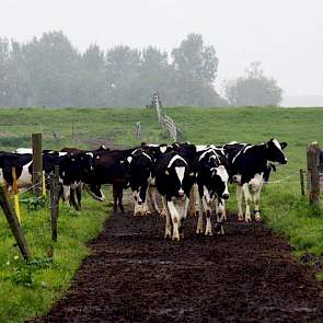 Hoe staat het met het kavelpad?