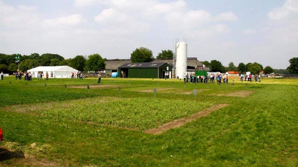 Tussen de 400 en 600 boeren en loonwerkers werden gisteren verwacht. Ze mochten wel wat tijd uittrekken, want het volledige ruwvoerproces van bodem en bemesting tot pens werd letterlijk nagelopen.