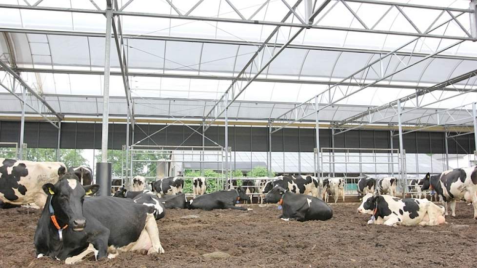 Als bodemmateriaal gebruikt Hartman houtsnippers. Om het droog te houden is een nieuw beluchtssysteem in gebruik dat niet blaast maar zuigt. Niet alleen wordt zo de vochtige lucht afgezogen, ook wordt de stikstof in het hout gezogen waar het zich in theor