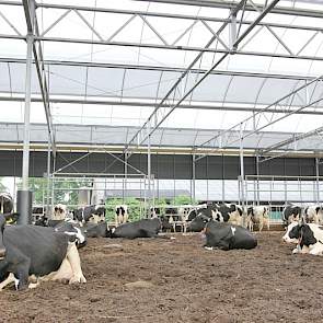 Als bodemmateriaal gebruikt Hartman houtsnippers. Om het droog te houden is een nieuw beluchtssysteem in gebruik dat niet blaast maar zuigt. Niet alleen wordt zo de vochtige lucht afgezogen, ook wordt de stikstof in het hout gezogen waar het zich in theor