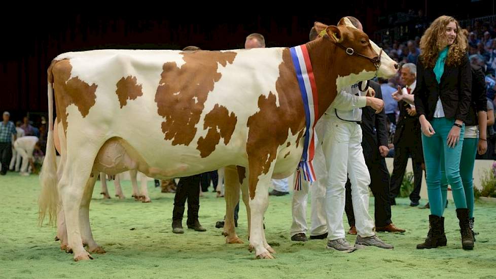 Ondanks dat ze al bijna een jaar aan de melk was, was de reservetitel voor Gansey's Clara 10 van Rudy Menkveld.