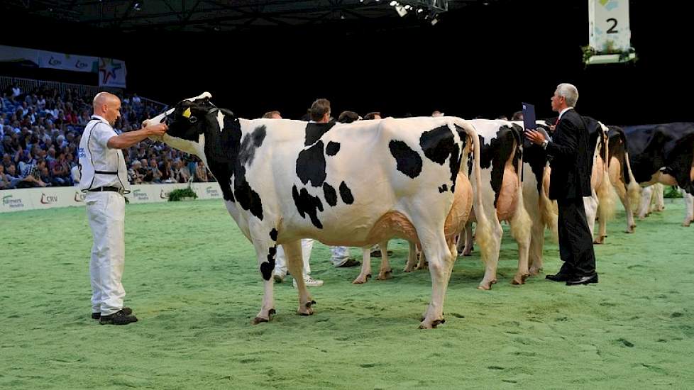 Eerder was Precilla op de 1A-positie geëindigd van de voorlaatste rubriek oudere koeien.