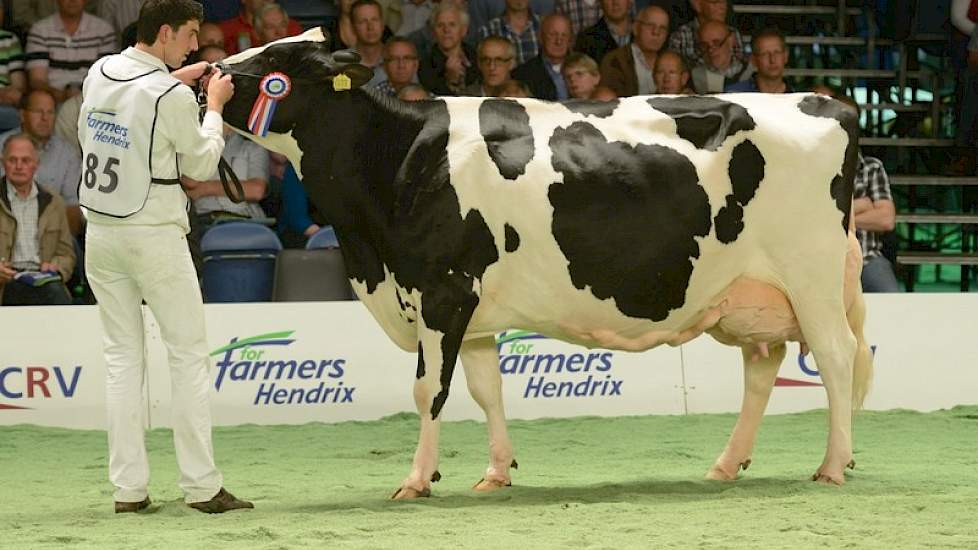 De oudste rubriek zwartbonten - een rubriek waarin alle koeien minimaal 50.000 kg melk hadden geproduceerd - werd aangevoerd door Zuid-Ooster Harmke 319 (v. Classic) van de maatschap Dolstra uit Oosterstreek.