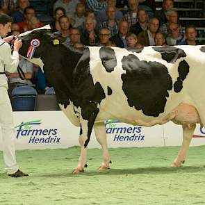 De oudste rubriek zwartbonten - een rubriek waarin alle koeien minimaal 50.000 kg melk hadden geproduceerd - werd aangevoerd door Zuid-Ooster Harmke 319 (v. Classic) van de maatschap Dolstra uit Oosterstreek.