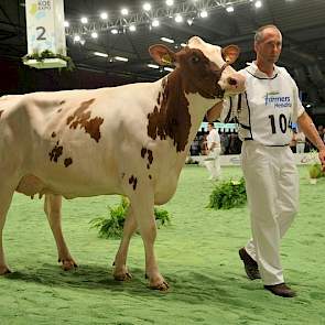 Bij de roodbonte vaarzen was er een 1B-klassering weggelegd voor Hoda 33 (v. Savard) van de maatschap Hofmeijer uit Lochem.