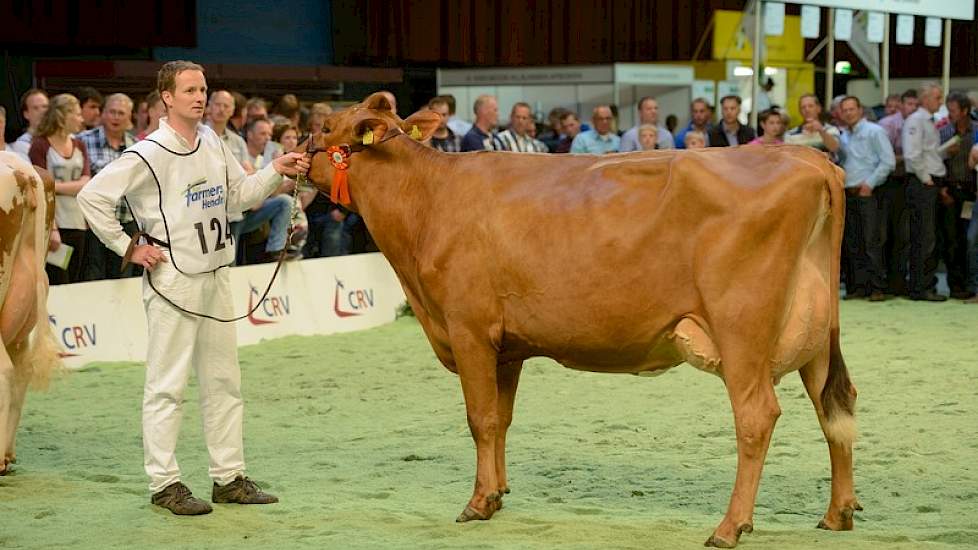 1B Wilma 41 is met haar afstamming Zabing x Amaranto een Holstein x Brown Swiss kruisling.