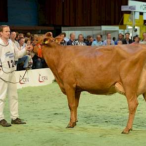 1B Wilma 41 is met haar afstamming Zabing x Amaranto een Holstein x Brown Swiss kruisling.