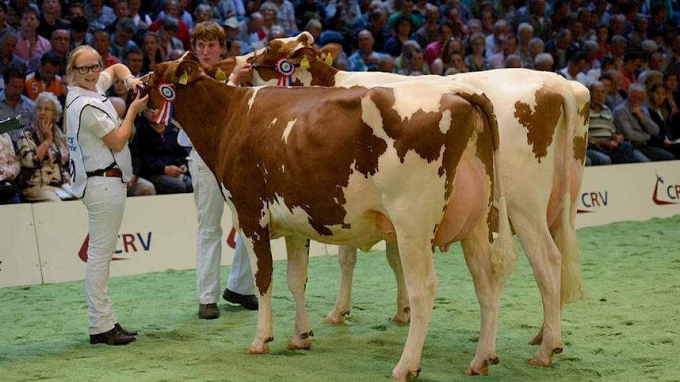 Links kampioene Jipsing Rieka 49 en rechts reservekampioene Heerenbrink Jenny 205.