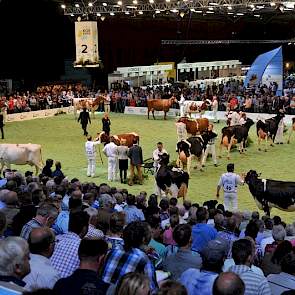 Op de druk bezochte CRV Koe-Expo werd er in twee ringen gekeurd, een ring voor zwartbont en een ring voor roodbont.