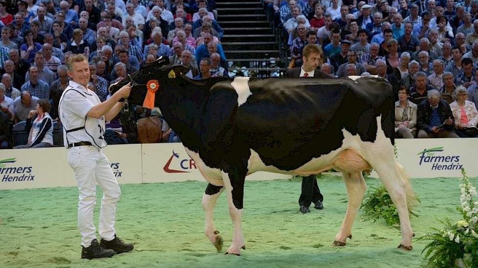 Hoewel Giessen Debby 101 (v. Goldwyn) van Theo van Vliet uit Nieuwlande eerder dit jaar het algemeen kampioenschap op de Drentse wintershow in de wacht sleepte, moest ze nu genoegen nemen met een 1B-klassering in de tweede rubriek.