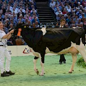 Hoewel Giessen Debby 101 (v. Goldwyn) van Theo van Vliet uit Nieuwlande eerder dit jaar het algemeen kampioenschap op de Drentse wintershow in de wacht sleepte, moest ze nu genoegen nemen met een 1B-klassering in de tweede rubriek.