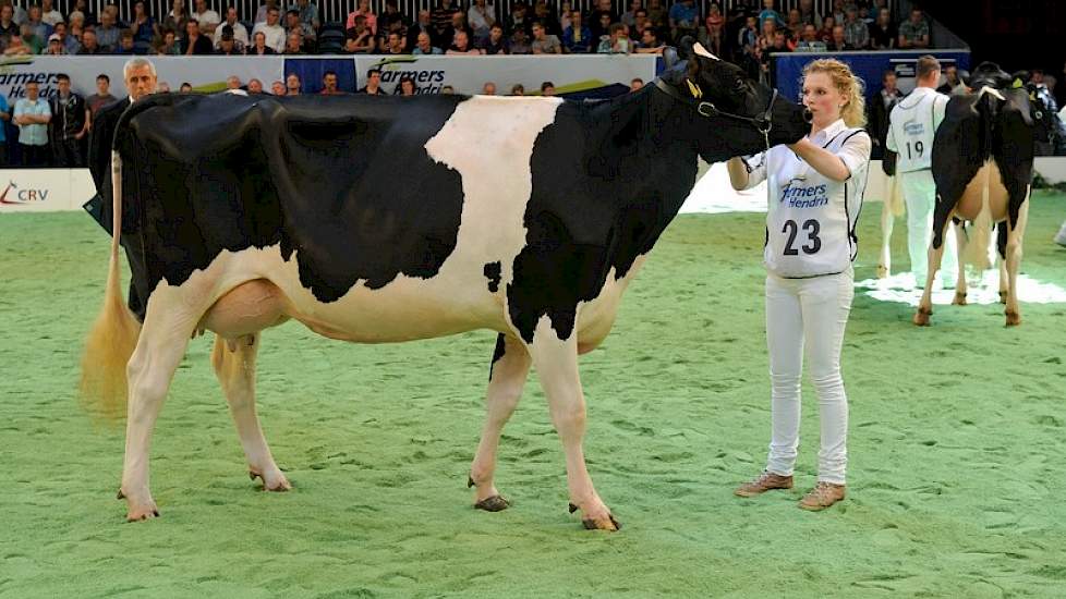 De 1A-positie was er voor Monamie (v. Man-O-Man) van de inmiddels met boeren gestopte Jan van der Wal uit Wanswert. Het dier is gehuisvest bij Ronnie Altenburg in Koufurderrige. Monamie werd tevens reservekampioene.