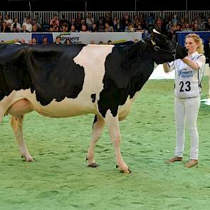 De 1A-positie was er voor Monamie (v. Man-O-Man) van de inmiddels met boeren gestopte Jan van der Wal uit Wanswert. Het dier is gehuisvest bij Ronnie Altenburg in Koufurderrige. Monamie werd tevens reservekampioene.