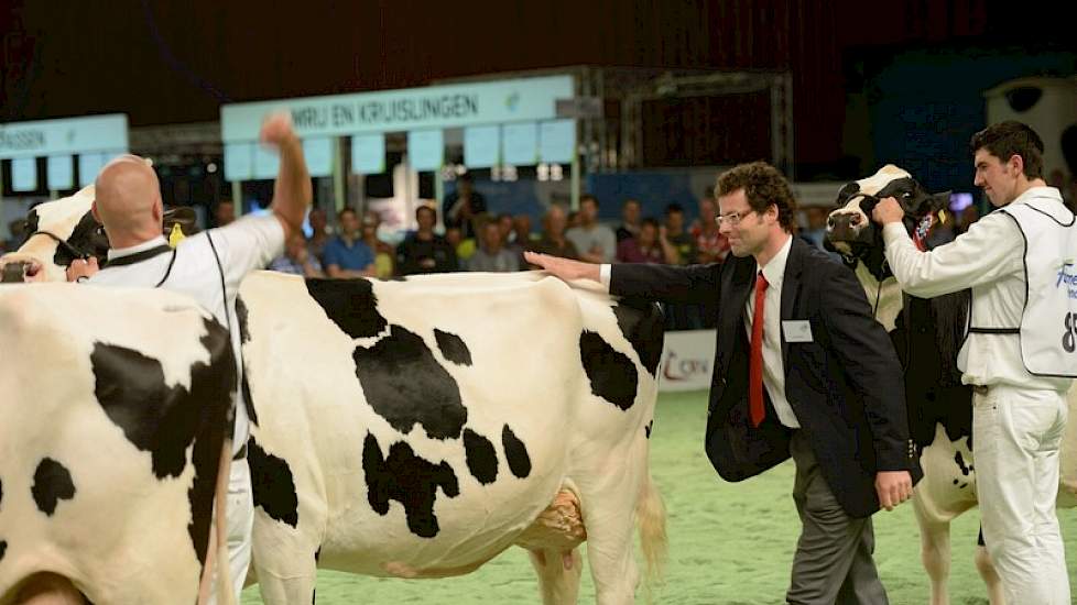 Het was duidelijk dat er maar één koe in aanmerking kwam voor het kampioenschap: Spirit Precilla (v. Spirit) van Theo van Vliet uit Nieuwlande.