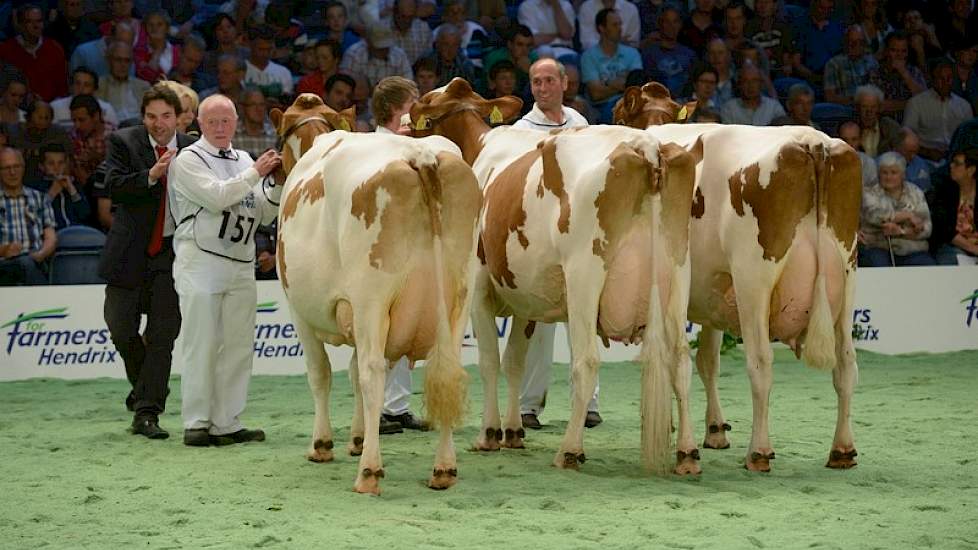 Van links naar rechts de top drie van de eerste rubriek oudere roodbonte koeien: 1A Willie 377 (v. Classic) van Bennie Kampkuiper uit Almelo, 1B Carolien 7 (v. Classic) van de maatschap Schrijver uit Terwolde en 1C Annemien 26 (v. Red Glory) van de maatsc