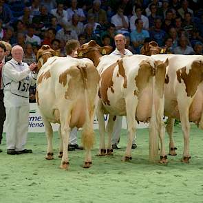 Van links naar rechts de top drie van de eerste rubriek oudere roodbonte koeien: 1A Willie 377 (v. Classic) van Bennie Kampkuiper uit Almelo, 1B Carolien 7 (v. Classic) van de maatschap Schrijver uit Terwolde en 1C Annemien 26 (v. Red Glory) van de maatsc