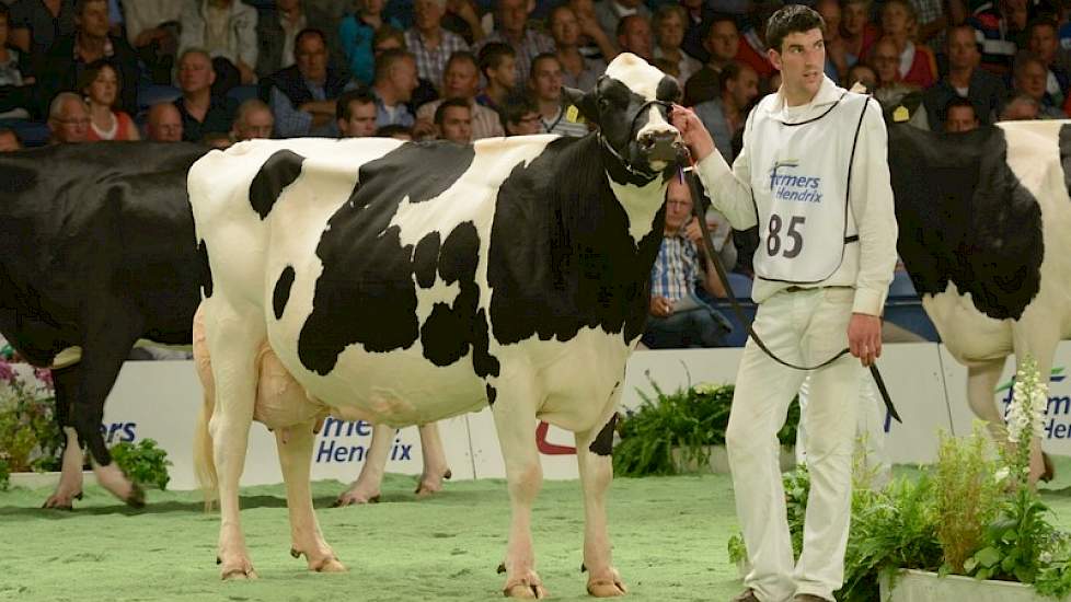 Harmke 319 komt uit de combinatie van de roodbonte stier Classic en moeder Harmke 298, die in 2011 nog de finale haalde van de Melkvee Magazine Koeverkiezing in Hoornaar.