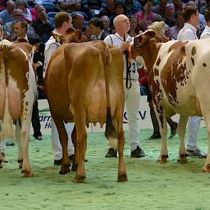 Van links naar rechts de 1A, 1B en 1C van de eerste rubriek van de roodbonte middenklasse: Arkman Marionette 1 (v. Tequila) van de maatschap Arkink uit Bornerbroek, Wilma 41 (v. Zabing) van de maatschap Huitema uit Gauw en Huntje Holstein Nienke 3 (v. Cla