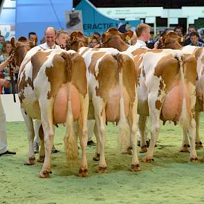 Die waren weggelegd voor de 1A en 1B van de tweede middenklasserubriek: Zeedieker Roseanna Red (v. Advent) van Jacob Wijnker uit Avenhorn (links) en Gansey's Clara 10 (v. Sundance) van Rudy Menkveld uit Zeewolde (tweede van links).