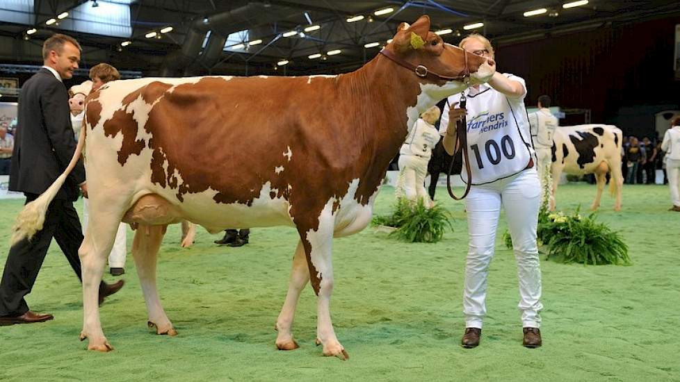 De koppositie ging naar de jongste vaars van de keuring, Jipsing Rieka 49 (v. Jipsing Elson) van Rob Zwart. Het dier is gestald bij de familie Van Noord in Wijster. Ondanks dat ze de jongste was, wist ze al haar concurrentes te verslaan en brutaal het kam