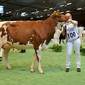 De koppositie ging naar de jongste vaars van de keuring, Jipsing Rieka 49 (v. Jipsing Elson) van Rob Zwart. Het dier is gestald bij de familie Van Noord in Wijster. Ondanks dat ze de jongste was, wist ze al haar concurrentes te verslaan en brutaal het kam