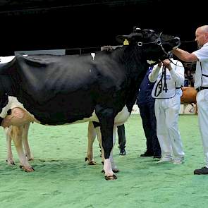 De eerste zwartbonte middenklasserubriek telde maar liefst 19 dieren. De koppositie was er voor Giessen Precilla 2 (v. Ross) van Theo van Vliet uit Nieuwlande.