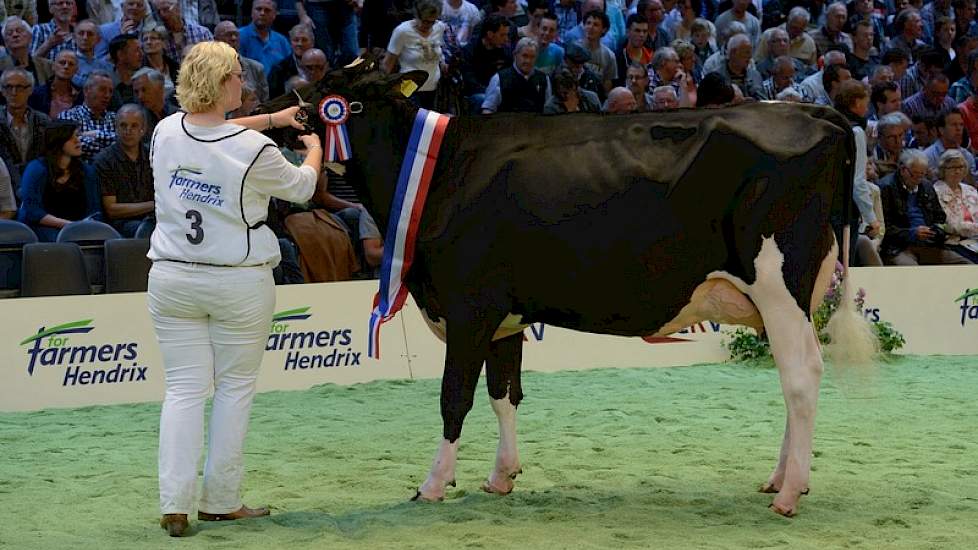 Met nummer 3 was de bijna twee en een half jaar oude Twente Dairies Cora 440 (v. Damion) van de gebroeders Tijhuis uit Hooghalen één van de jongste deelnemers. Toch wist ze een 1A-klassering en later het vaarzenkampioenschap in de wacht te slepen.