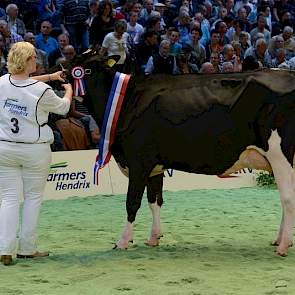 Met nummer 3 was de bijna twee en een half jaar oude Twente Dairies Cora 440 (v. Damion) van de gebroeders Tijhuis uit Hooghalen één van de jongste deelnemers. Toch wist ze een 1A-klassering en later het vaarzenkampioenschap in de wacht te slepen.