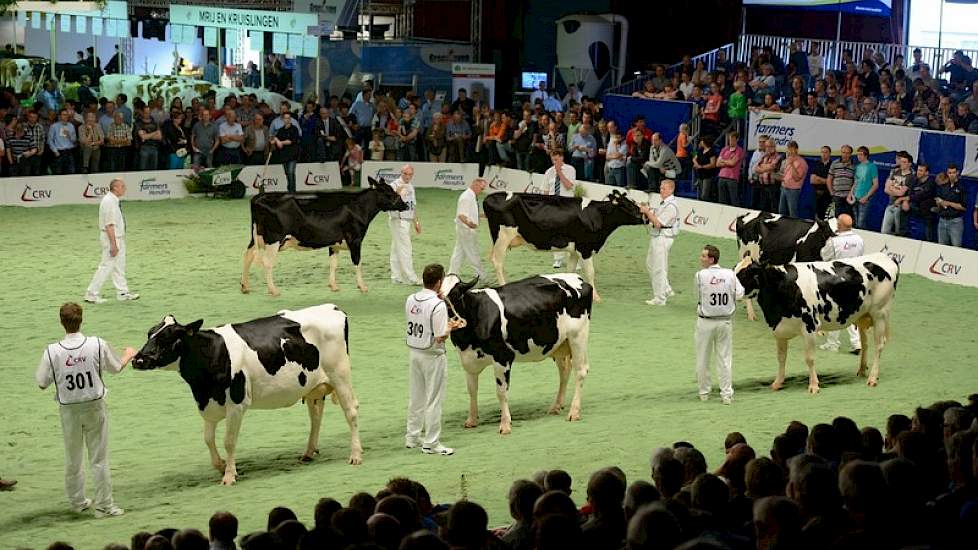 Hoewel er voor de groep van Ralma O-Man CF Cricket (O Man x Durham) uit veel meer dieren kon worden geselecteerd, honoreerde Van Velzen de stier met het hoogste cijfer (8,2). „De groep was uniform met beste uiers. Wel waren ze iets rauw en groot."