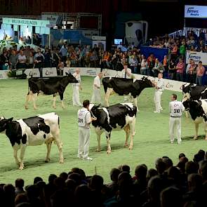 Hoewel er voor de groep van Ralma O-Man CF Cricket (O Man x Durham) uit veel meer dieren kon worden geselecteerd, honoreerde Van Velzen de stier met het hoogste cijfer (8,2). „De groep was uniform met beste uiers. Wel waren ze iets rauw en groot."