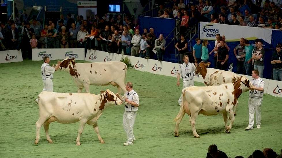 Cherokee van de Peul (Fender x Goldwyn) kreeg van Van Velzen een 7,0 toebedeeld. „De stier lijkt zeer goede gebruikskoeien te geven, de dieren doen laatrijp aan en de kruisligging was goed."