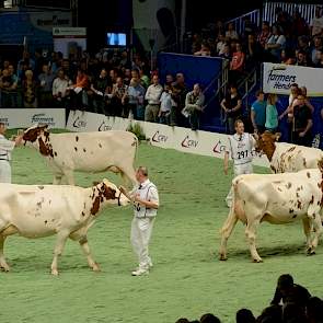 Cherokee van de Peul (Fender x Goldwyn) kreeg van Van Velzen een 7,0 toebedeeld. „De stier lijkt zeer goede gebruikskoeien te geven, de dieren doen laatrijp aan en de kruisligging was goed."