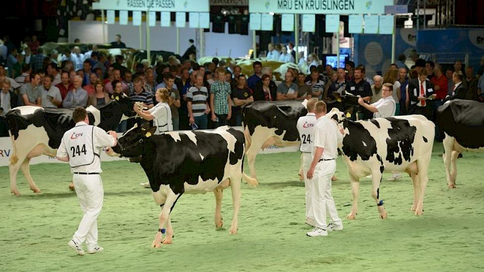 De groep van Delta Astro (Goldwyn x O Man) kreeg van Van Velzen met een 5,0 de laagste waardering. „De dieren waren te groot, hadden te weinig melkopdruk en de groep was niet uniform."