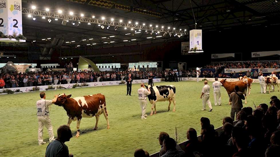 De groep van Lowlands Redman (Fiction x TS Gogo) betrad als eerste de ring. Van Velzen beoordeelde de groep met een 6,3. „De uiers mochten breder en hoger aangehecht en ze hadden iets volle spronggewrichten."