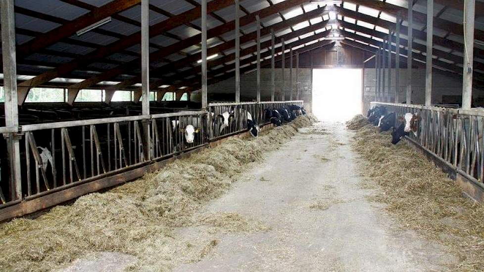 De 33-jaar oude stal werd omgebouwd voor het jongvee.