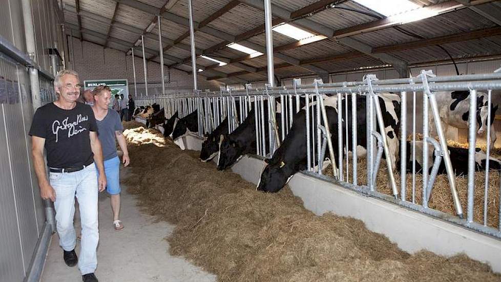 Kijken naar het puikje van de zalm, exportvaarzen uit 100.000 liter koeien van de onlangs beëindigde fokkerij van Bosman uit Ellecom (Gld.)