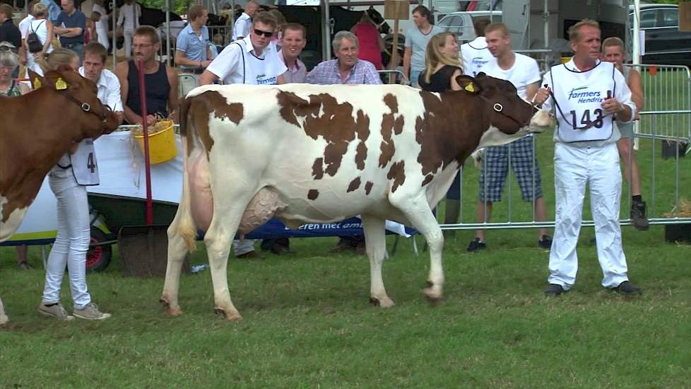 Kampioenschap roodbont - Dierenshow Drenthe 2013 - Melkvee.nl