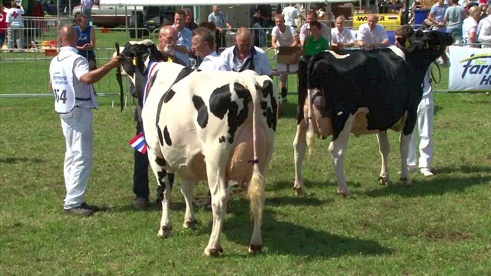 Kampioenschap beste uier - Dierenshow Drenthe 2013 - Melkvee.nl